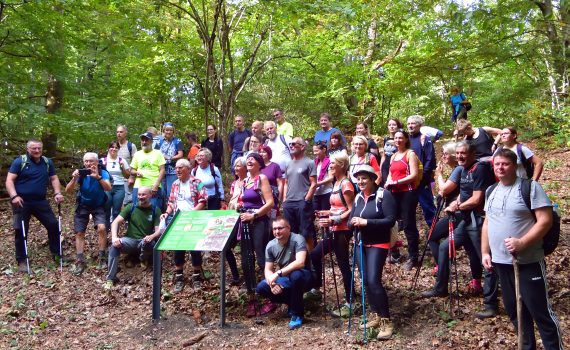 Japetićanci i novootkrivena ploča
